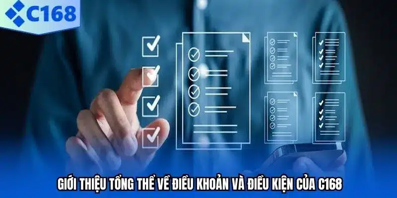 Giới thiệu tổng thể về điều khoản và điều kiện của C168