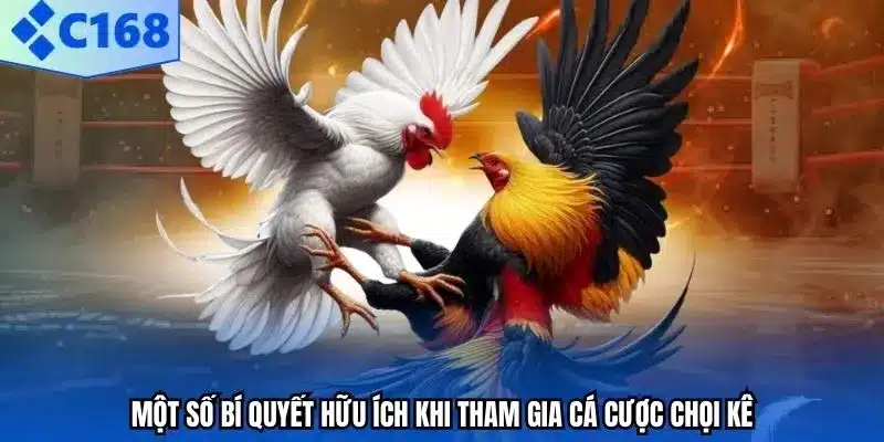 Một số bí quyết hữu ích khi tham gia cá cược chọi kê