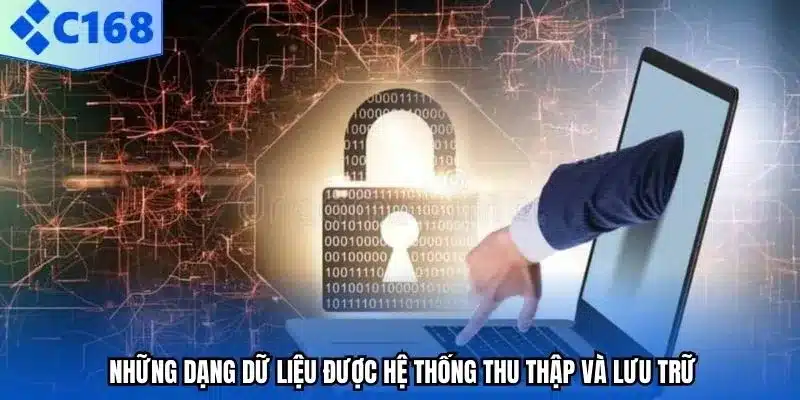 Những dạng dữ liệu được hệ thống thu thập và lưu trữ