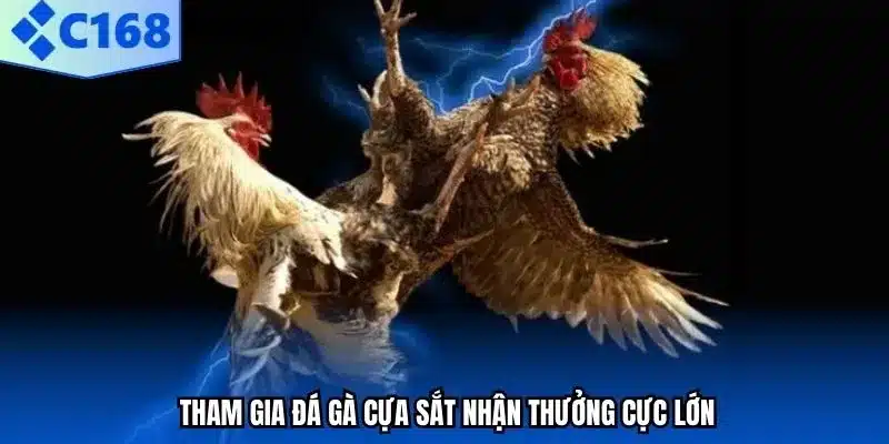 Tham gia đá gà cựa sắt nhận thưởng cực lớn.